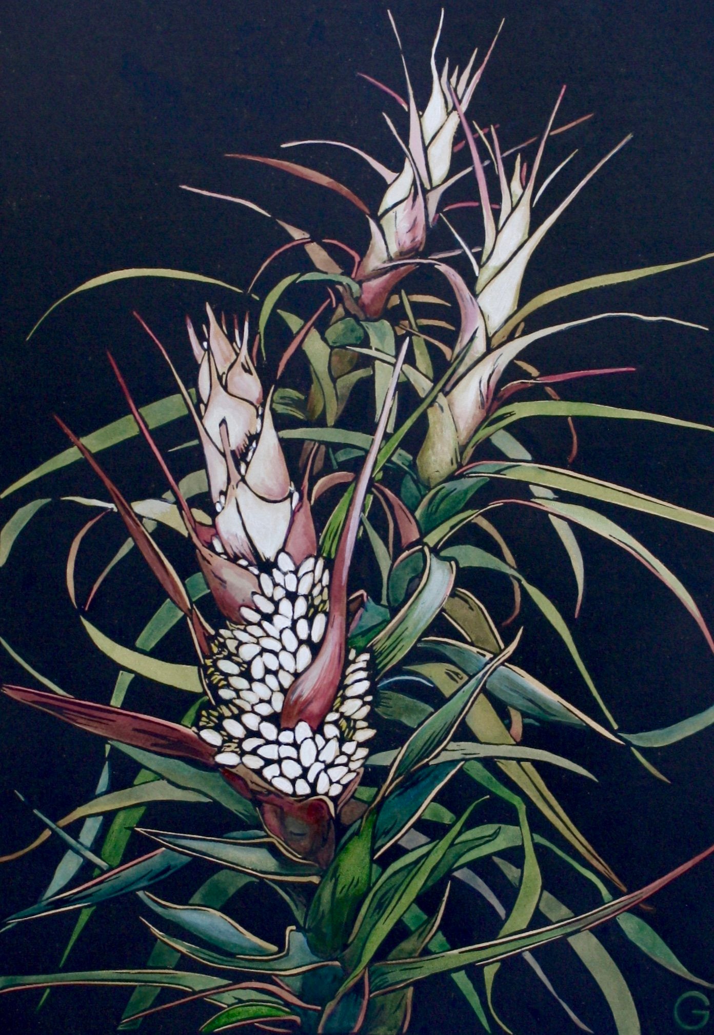 Richea - original handpainted linoprint artwork by Grace Gladdish