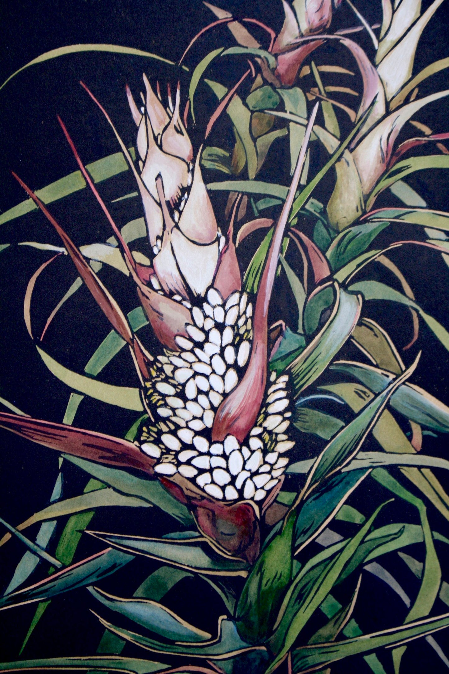 Richea - original handpainted linoprint artwork by Grace Gladdish