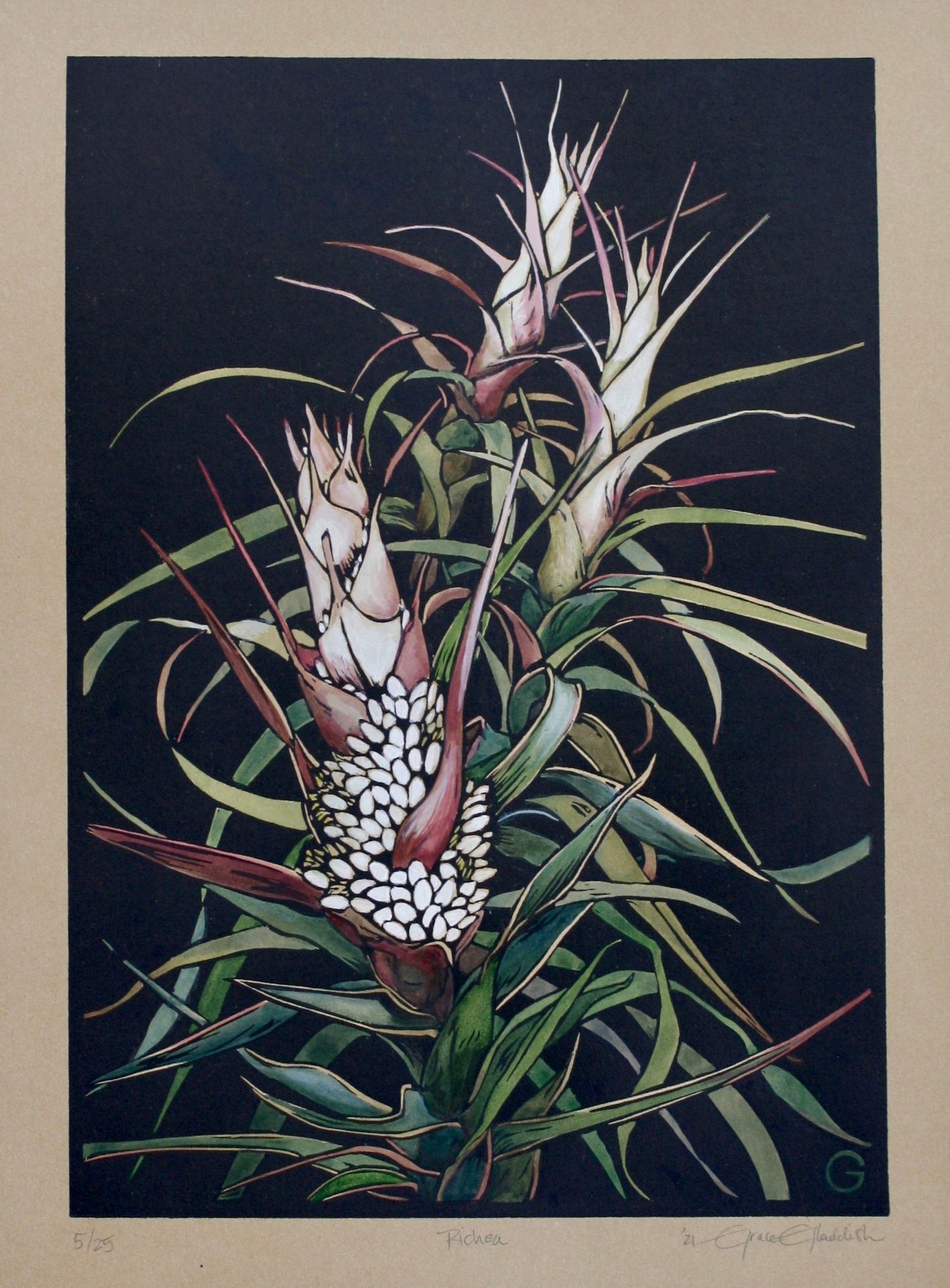 Richea - original handpainted linoprint artwork by Grace Gladdish