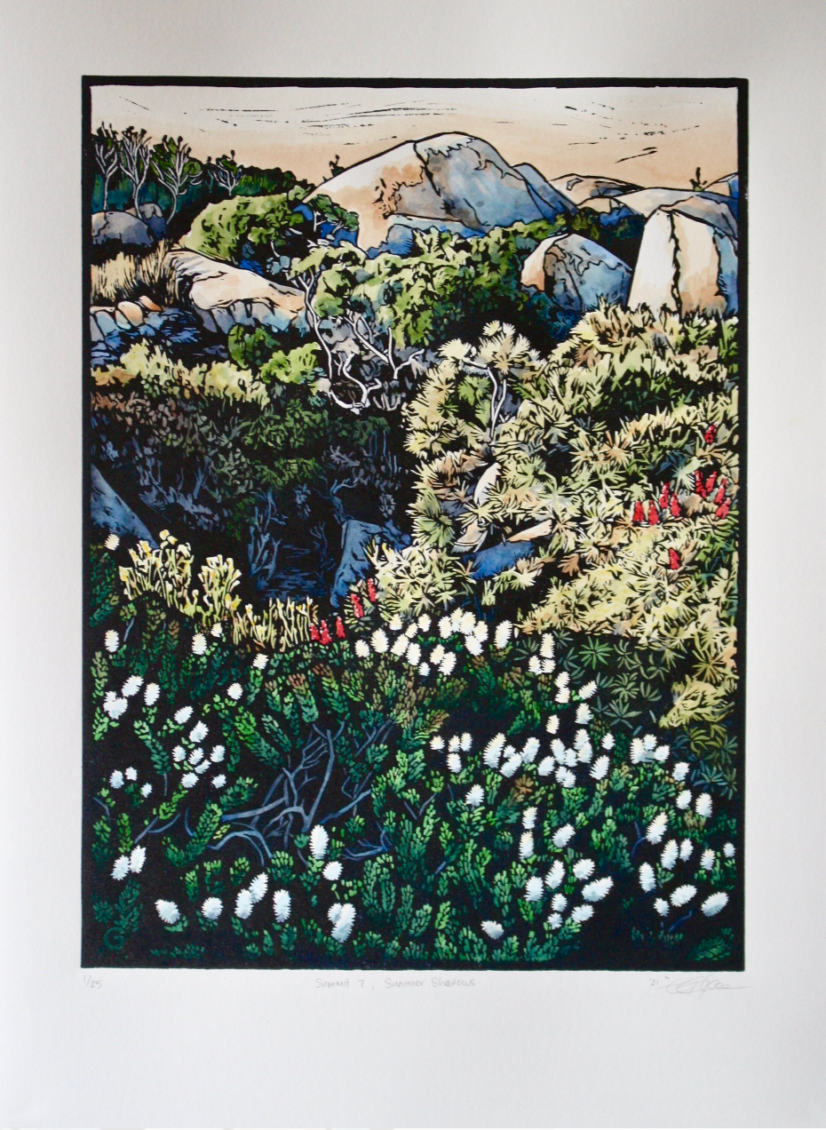 Summit 7 'Summer Shadows' linoprint - Grace Gladdish