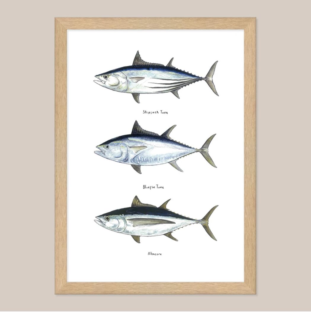 Southern Tuna Print by Bobby Seaford