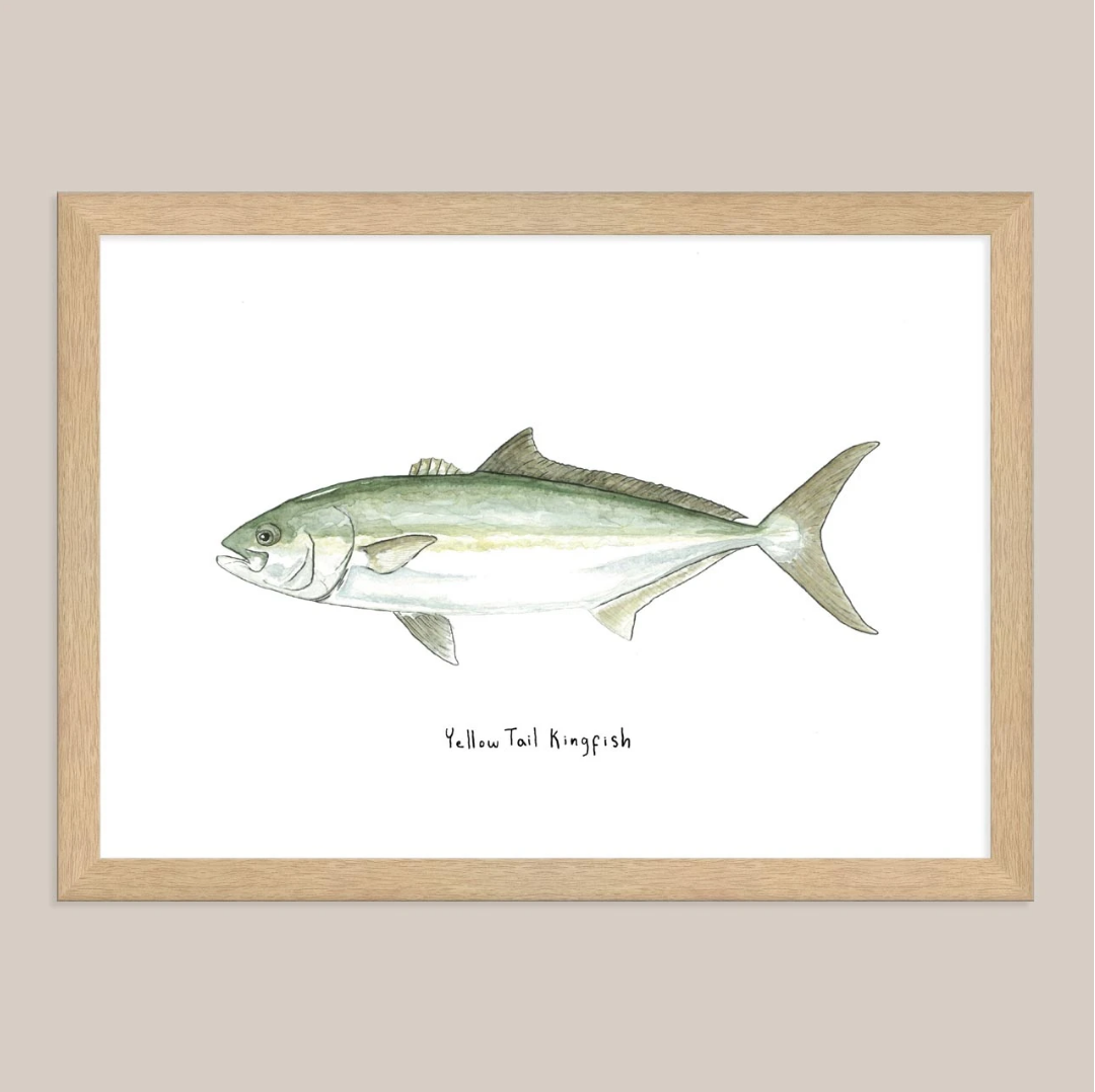 Yellow Tail Kingfish Print by Bobby Seaford