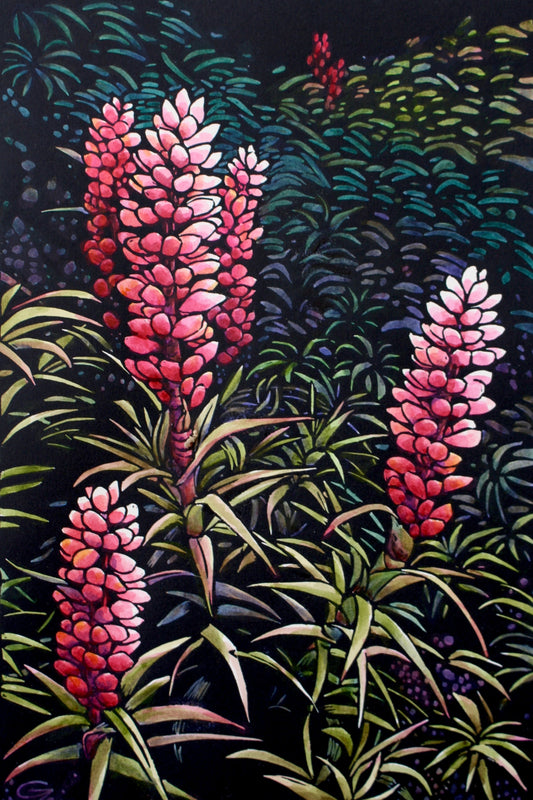 ‘Pink Scoparia’ - original handpainted linoprint artwork by Grace Gladdish (framed)