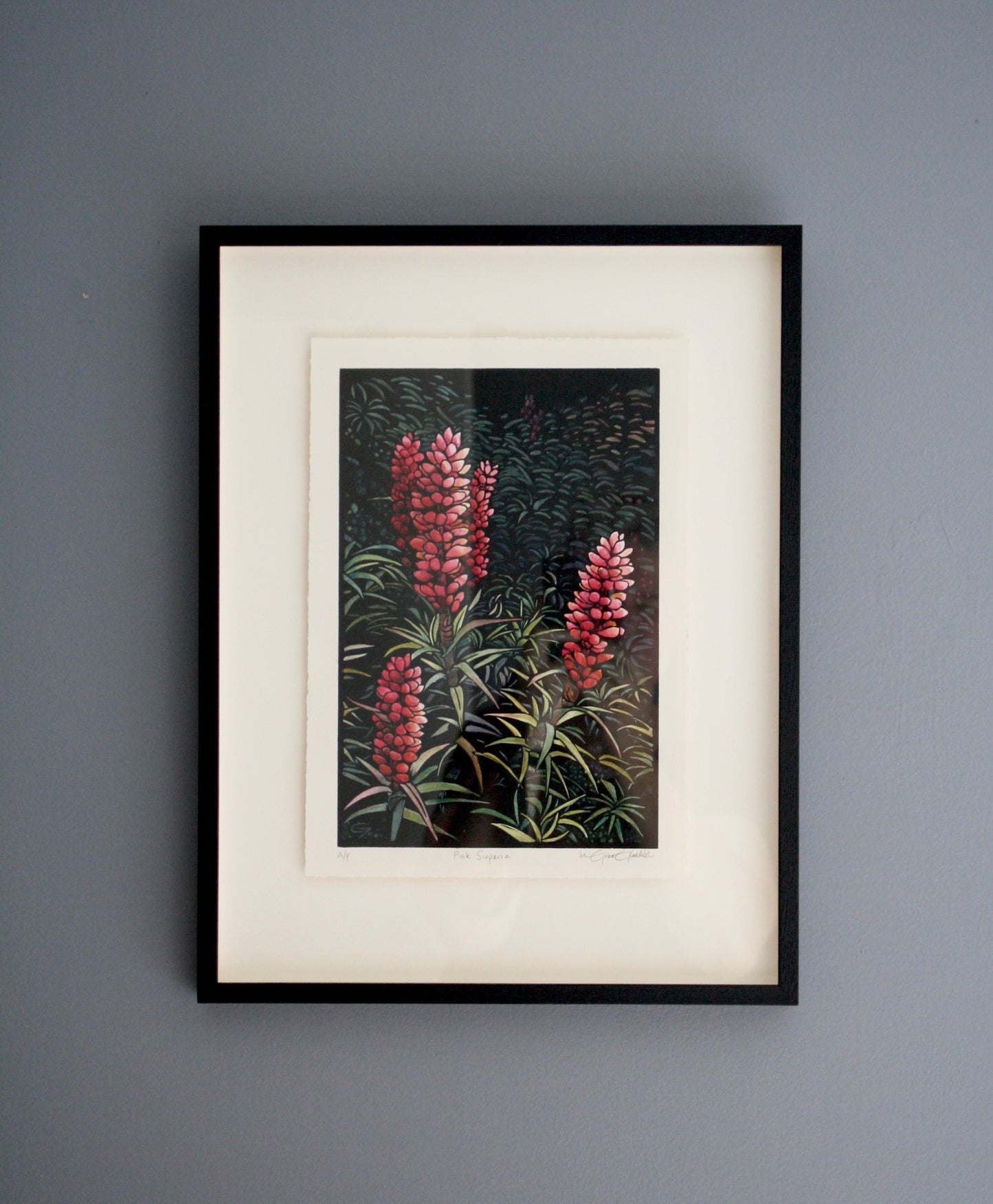 ‘Pink Scoparia’ - original handpainted linoprint artwork by Grace Gladdish (framed)