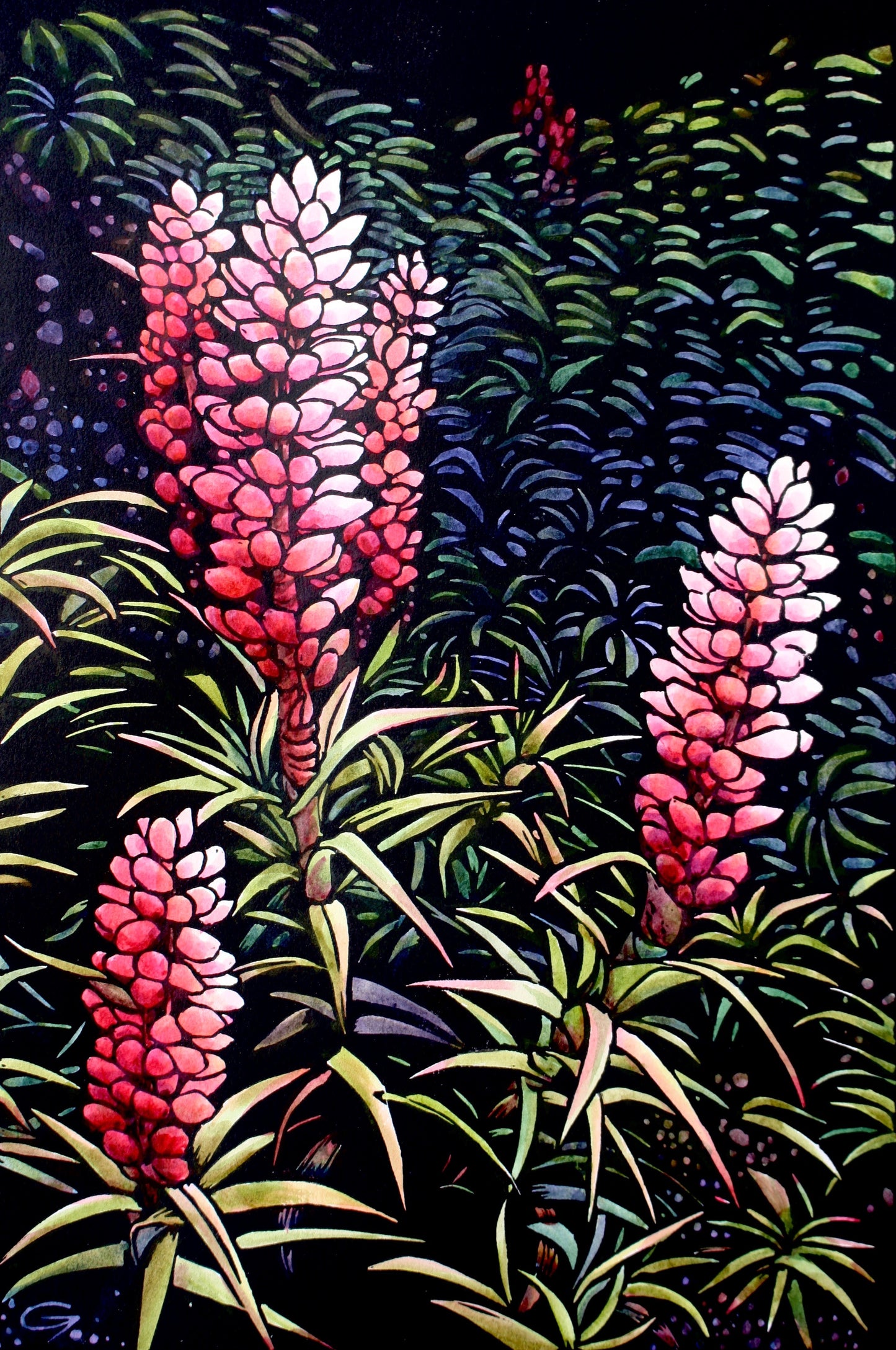 ‘Pink Scoparia’ - original handpainted linoprint artwork by Grace Gladdish (framed)