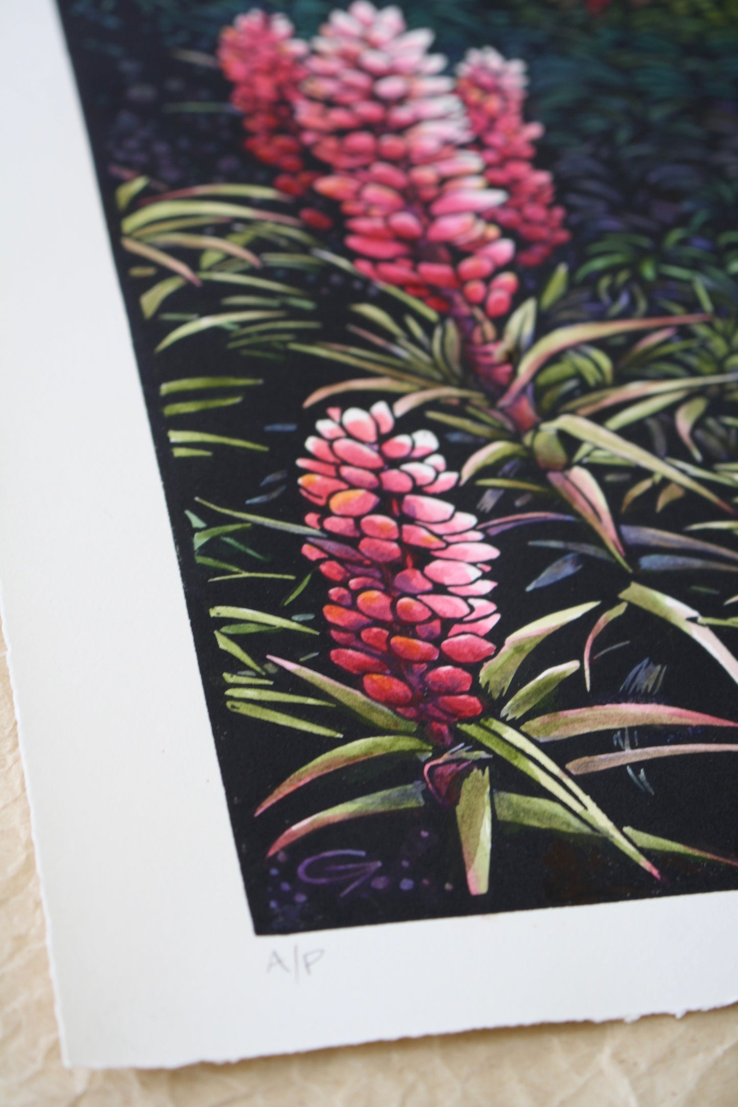 ‘Pink Scoparia’ - original handpainted linoprint artwork by Grace Gladdish (framed)