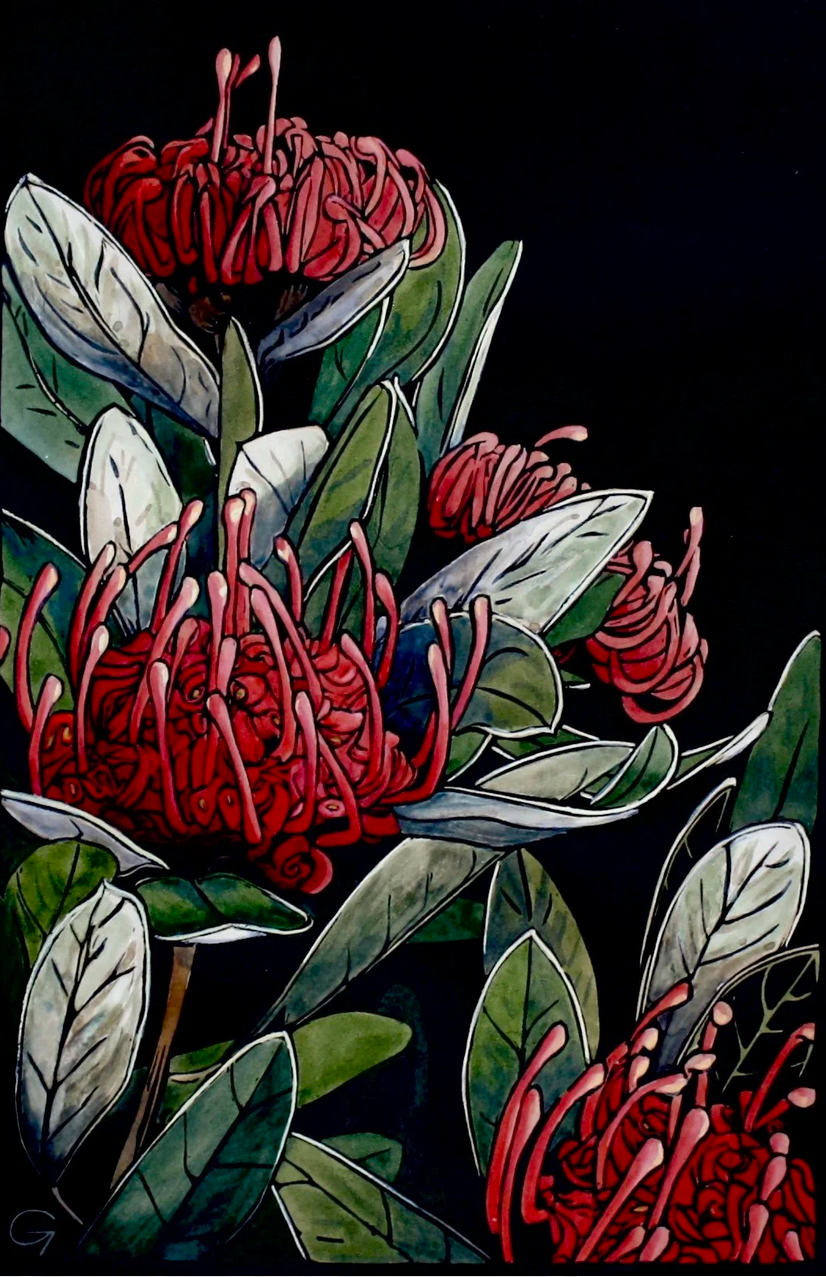 Tasmanian Waratah 2  - original handpainted linoprint artwork by Grace Gladdish