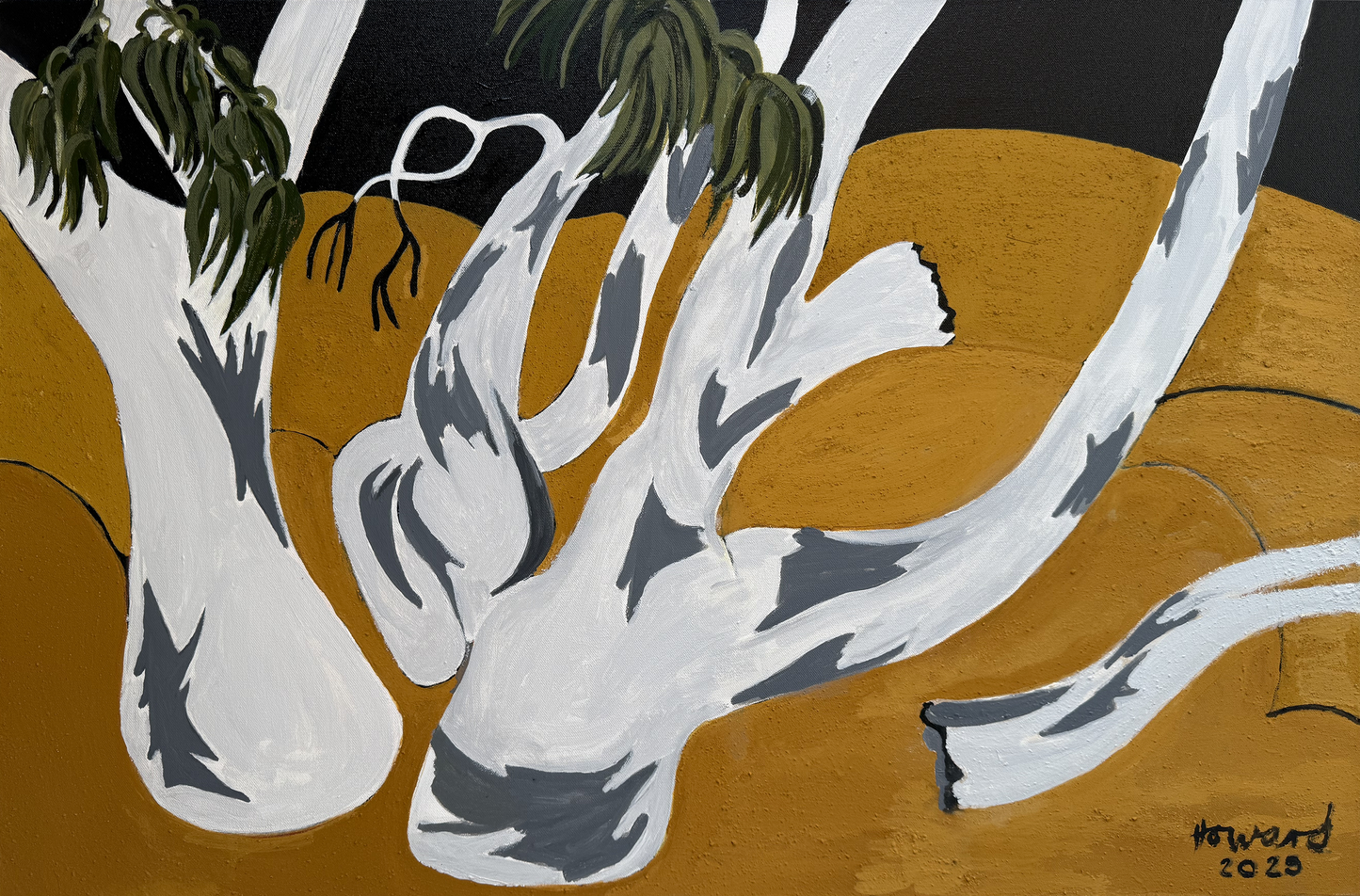 'Red River Gum Flinders Ranges' original painting by Naomi Howard