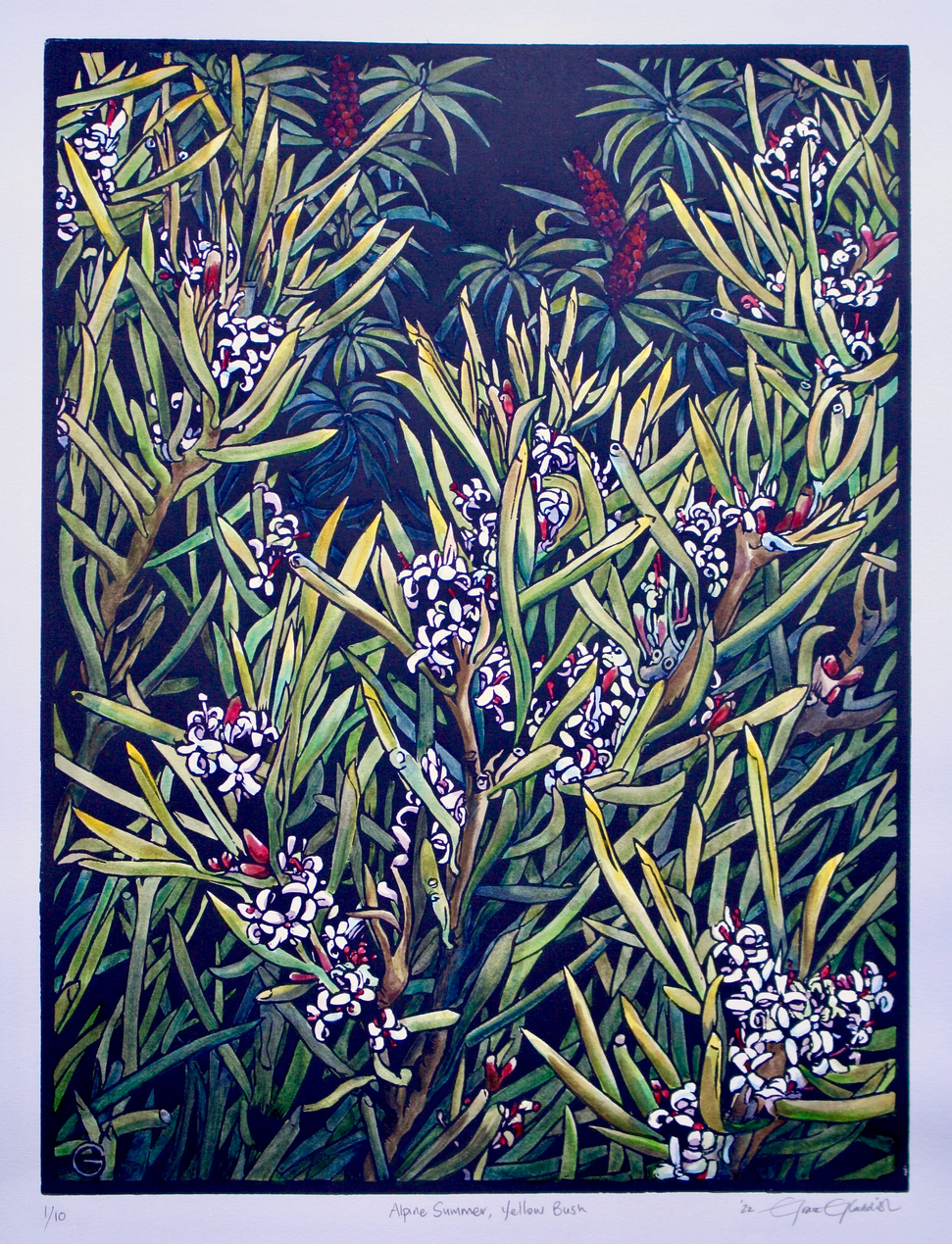 ‘Alpine Summer, Yellow Bush’ - original handpainted linoprint artwork by Grace Gladdish (framed)