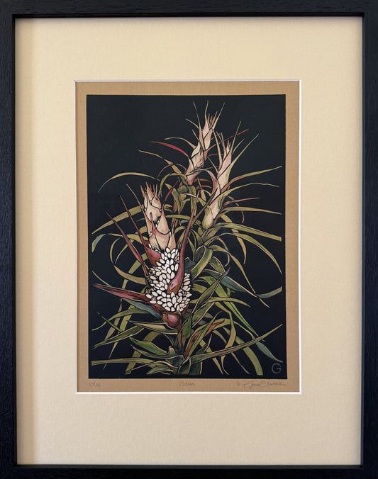 Richea  - original handpainted linoprint artwork by Grace Gladdish