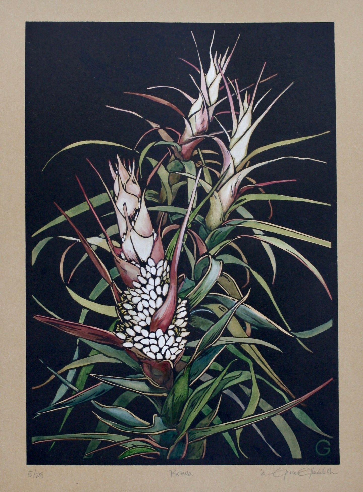 Richea  - original handpainted linoprint artwork by Grace Gladdish