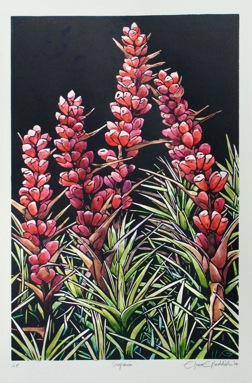 ‘Pink Scoparia’ - original handpainted linoprint artwork by Grace Gladdish (framed)