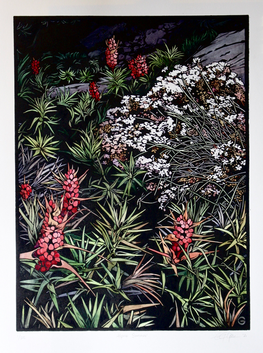 Alpine Summer linoprint - Grace Gladdish