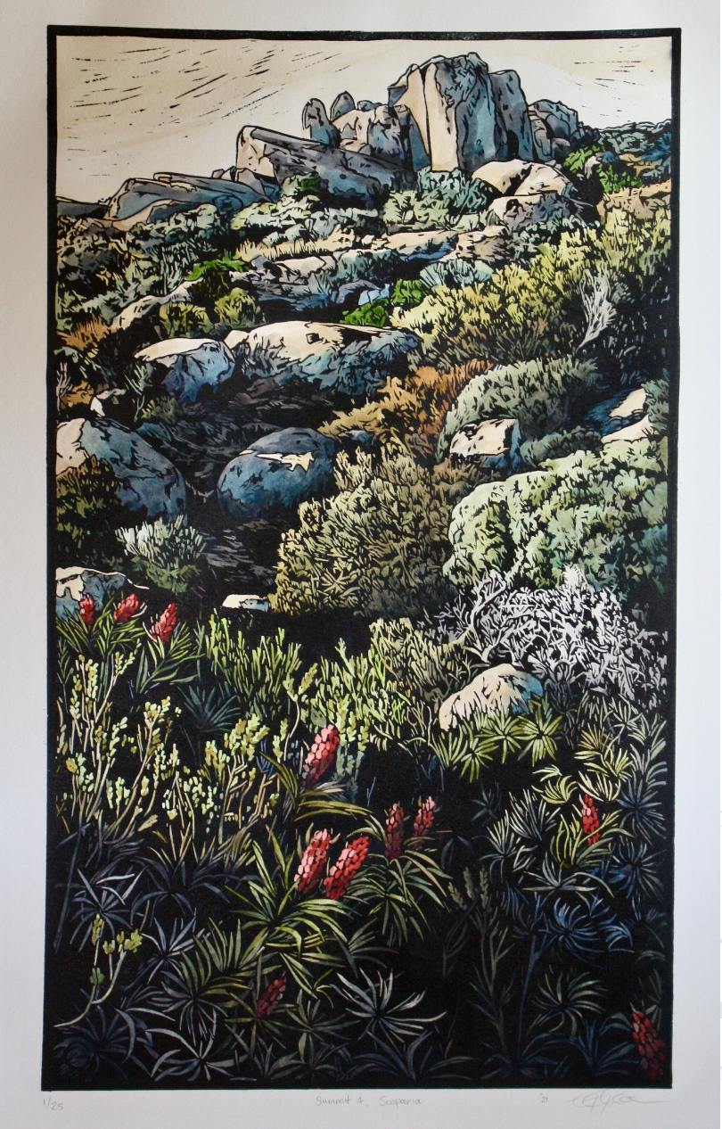 Summit 4, Scoparia linoprint - Grace Gladdish