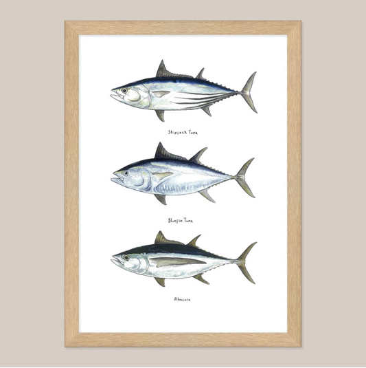 Southern Tuna Print by Bobby Seaford